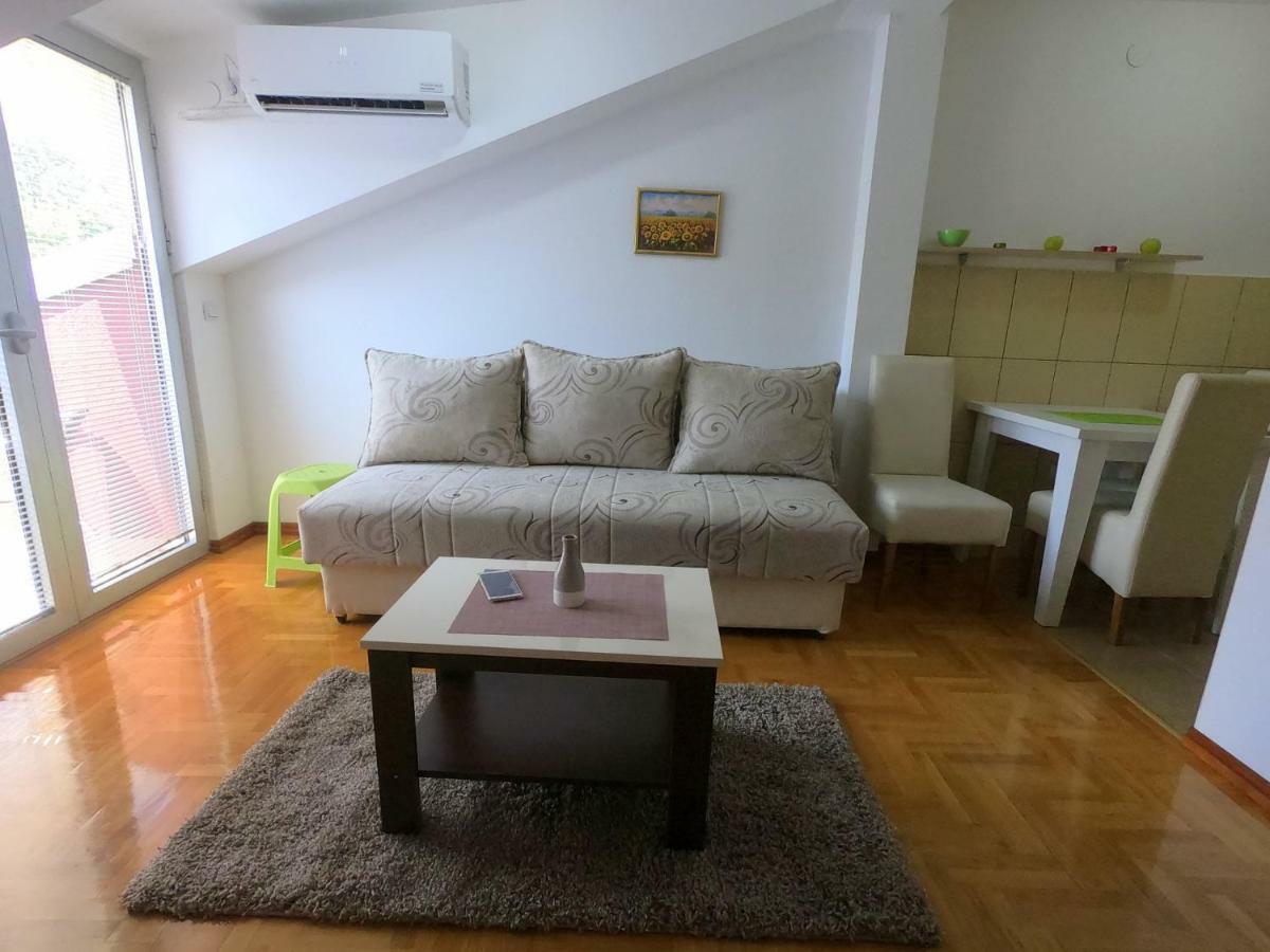 Apartman Zenit Vrnjačka Banja Extérieur photo